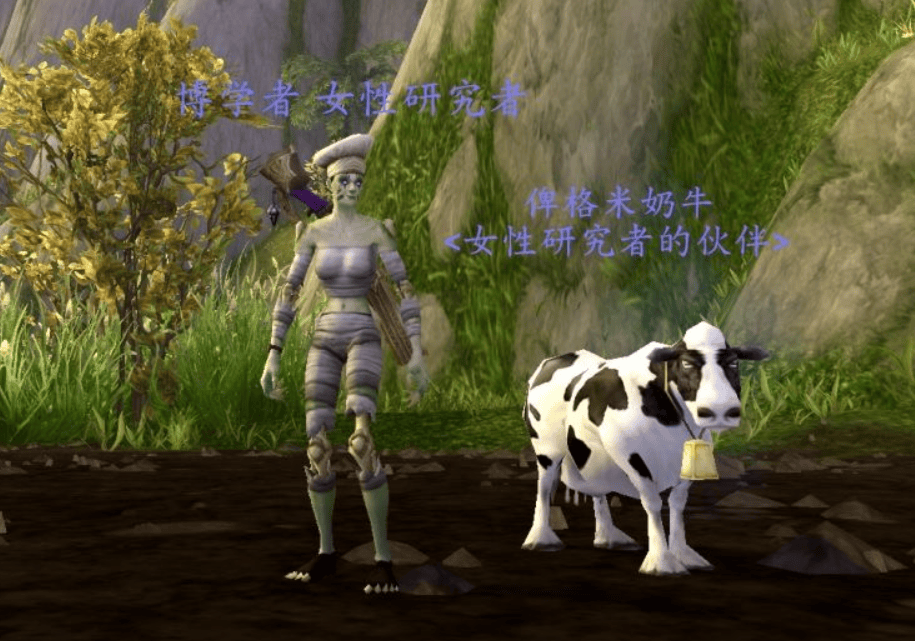 魔兽世界：玩家在亚服一年肝出788只坐骑，国服回归陷两难 - 游戏熊