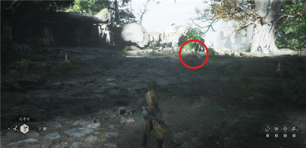 黑神话悟空蘑女在哪 - 游戏熊