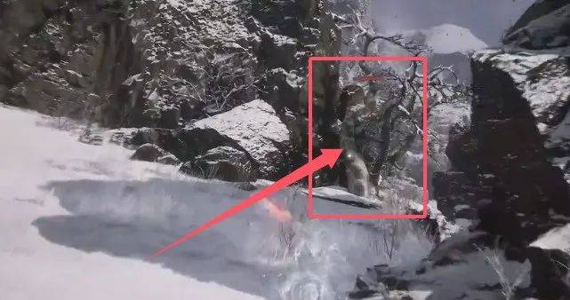 黑神话悟空地莲种子在哪刷 - 游戏熊