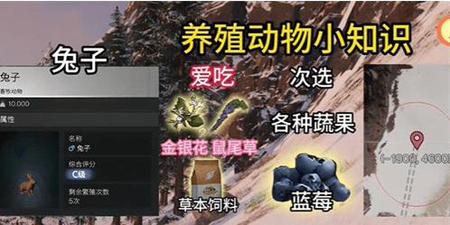 七日世界动物抓捕方法攻略 - 游戏熊