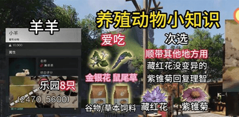 七日世界动物抓捕方法攻略 - 游戏熊