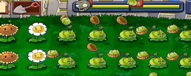 植物大战僵尸卷心菜投手种植策略与战斗效果 - 游戏熊