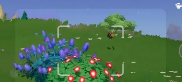 心动小镇熊蜂捕捉位置在哪里 - 游戏熊