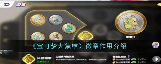 宝可梦大集结徽章有什么作用