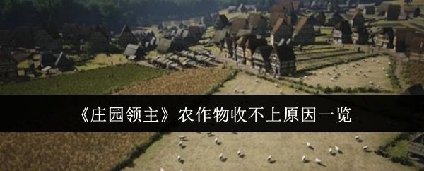 庄园领主农作物收不上是什么原因? - 游戏熊