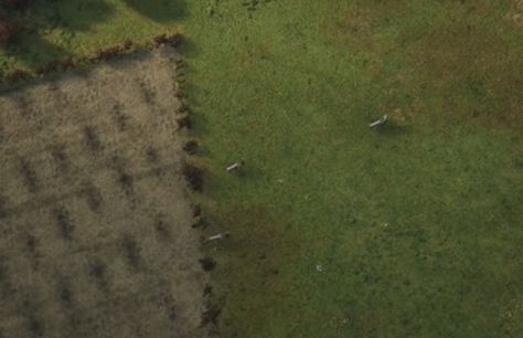 庄园领主亚麻怎么获取,附方法 - 游戏熊