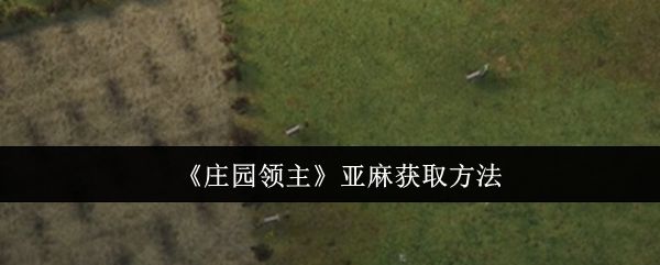 庄园领主亚麻怎么获取,附方法 - 游戏熊