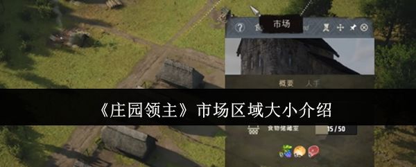 庄园领主市场区域有多大？