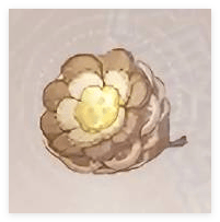 无限暖暖植物采集攻略 - 游戏熊