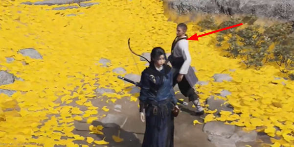 燕云十六声慈心山院本心妙善任务怎么完成？ - 游戏熊