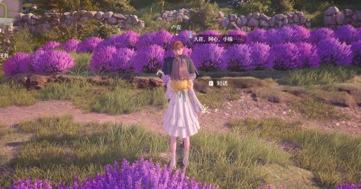 无限暖暖照片调查花心的绵羊任务完成攻略 - 游戏熊