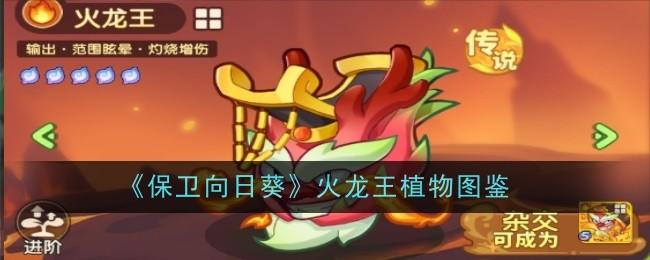 保卫向日葵火龙王植物图鉴 - 游戏熊