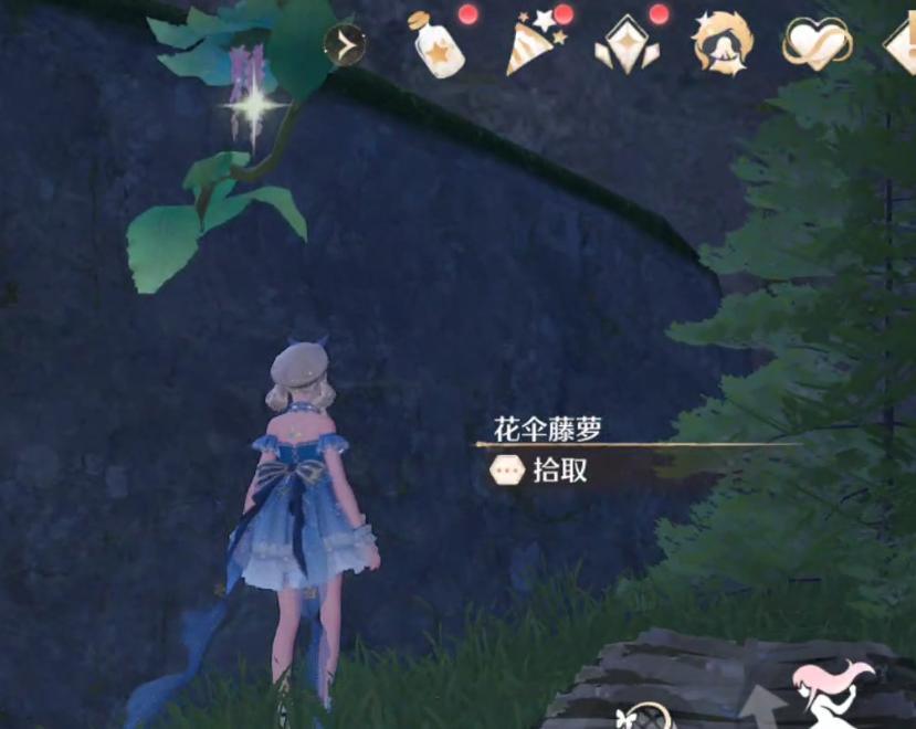 无限暖暖花伞藤萝获取方法 - 游戏熊