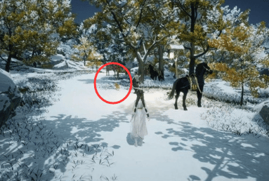 射雕无定坊猛兽献宝位置攻略 - 游戏熊