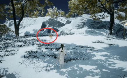 射雕无定坊猛兽献宝位置攻略 - 游戏熊