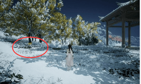 射雕无定坊猛兽献宝位置攻略 - 游戏熊