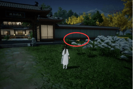 射雕无定坊猛兽献宝位置攻略 - 游戏熊