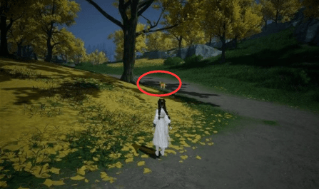 射雕无定坊猛兽献宝位置攻略 - 游戏熊