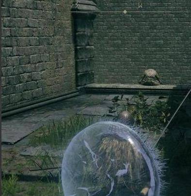 艾尔登法环 - 游戏熊