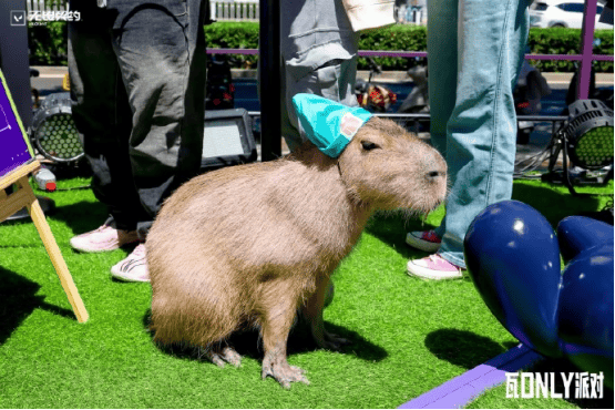 “瓦only”派对五一火热上演,奶妈问诊、春晚靶场嗨转线下 “瓦only”派对五一火热上演,奶妈问诊、春晚靶场嗨转线下 - 游戏熊