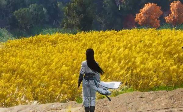 燕云十六声麦穗在哪个地方刷 - 游戏熊