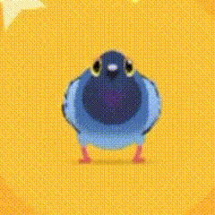 疯狂的鸽子表情包大全，最新高清无水印 - 游戏熊