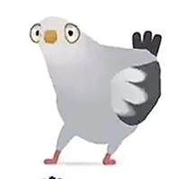 疯狂的鸽子表情包大全，最新高清无水印 - 游戏熊