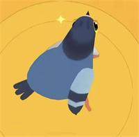 疯狂的鸽子表情包大全，最新高清无水印 - 游戏熊