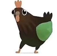 疯狂的鸽子表情包大全，最新高清无水印 - 游戏熊