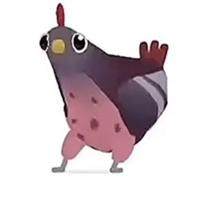 疯狂的鸽子表情包大全，最新高清无水印 - 游戏熊