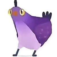 疯狂的鸽子表情包大全，最新高清无水印 - 游戏熊