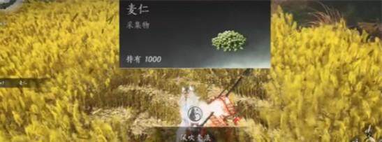 燕云十六声滹沱麦子成就攻略，获取方法与位置 - 游戏熊