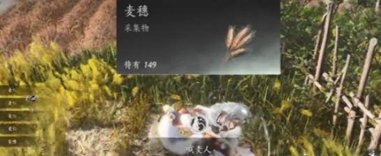 燕云十六声滹沱麦子成就攻略，获取方法与位置 - 游戏熊