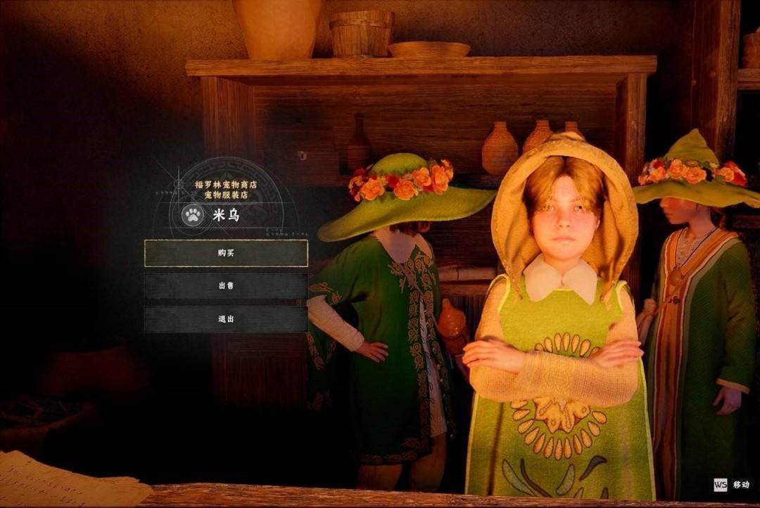 红色沙漠宠物盔甲怎么获取，掉落位置与入手攻略 - 游戏熊