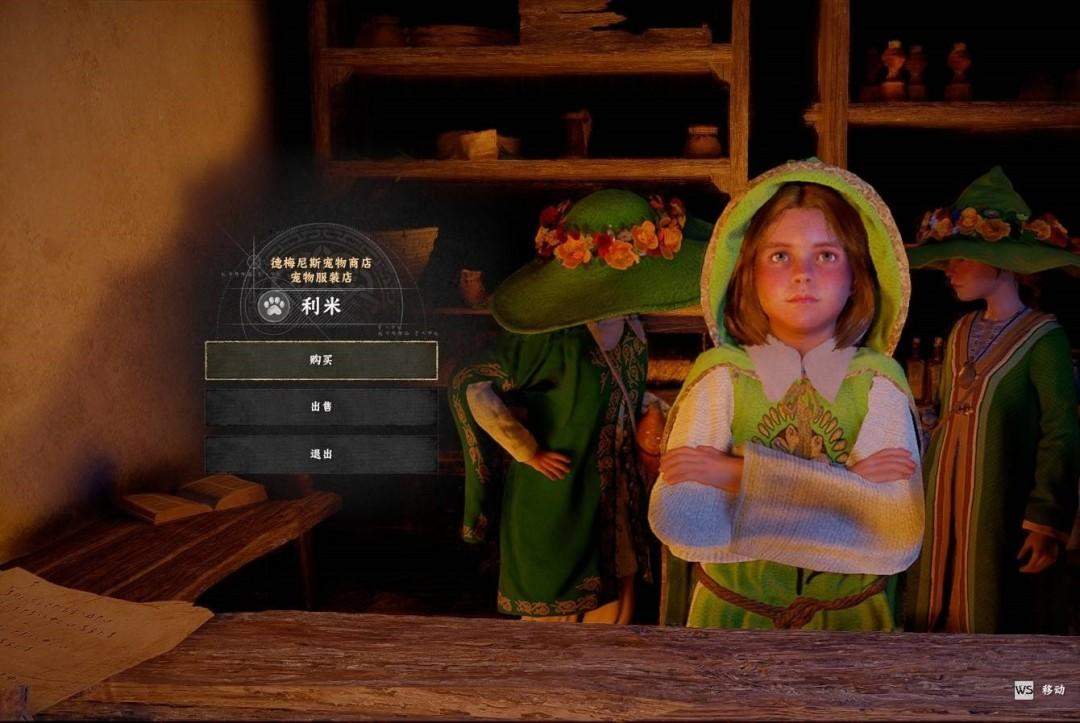 红色沙漠宠物盔甲怎么获取，掉落位置与入手攻略 - 游戏熊