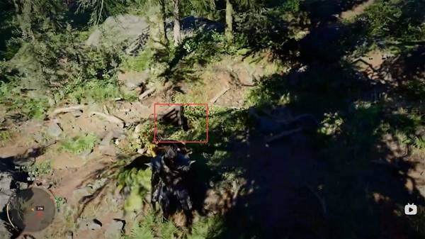 红色沙漠金芒绳结先祖弓箭位置在哪，详细图文收集攻略 - 游戏熊