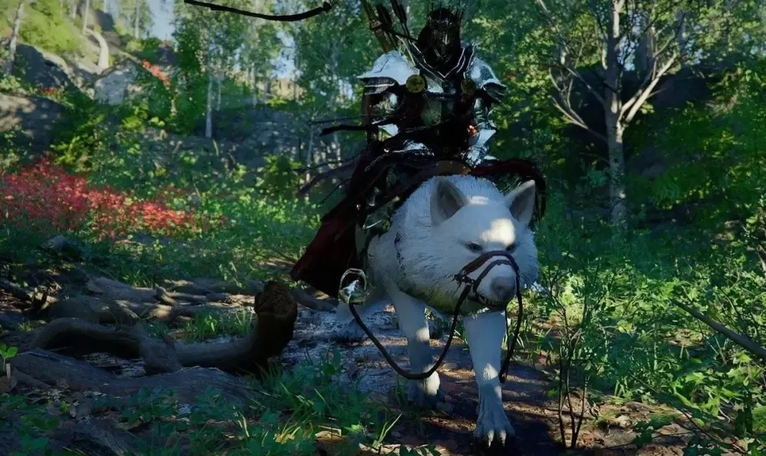 红色沙漠银牙坐骑怎么获得,获取方法与条件 - 游戏熊 红色沙漠银牙坐骑怎么获得,获取方法与条件 - 游戏熊